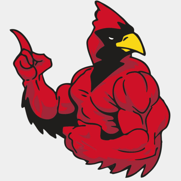 AR CARDINAL 28 RC Thumbnail