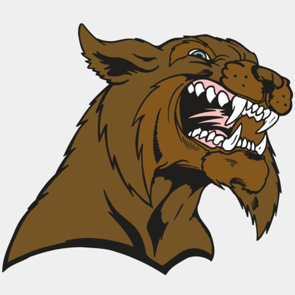 AR5 BOBCAT 21 RQC Thumbnail