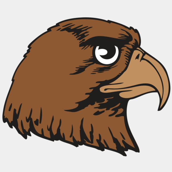 BAW HWK FLCN 05 RC Thumbnail