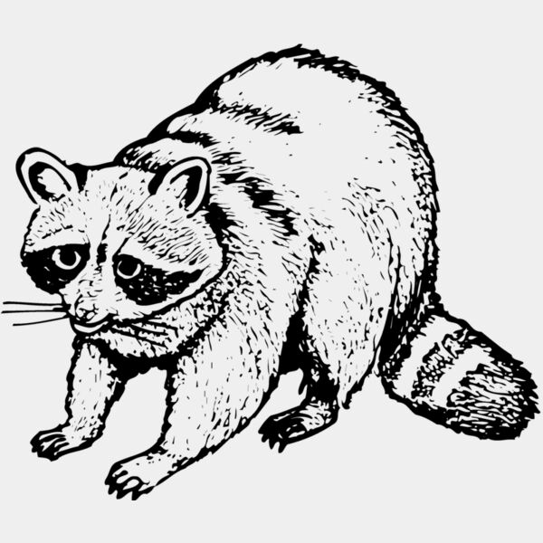 COON002 Thumbnail