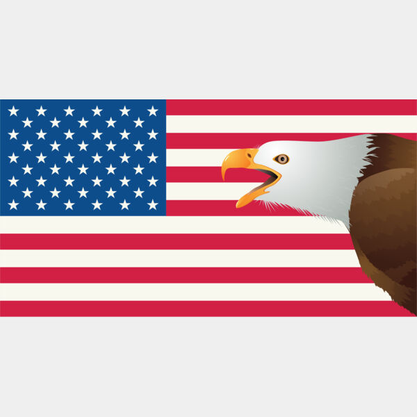 USA America Flag Bald Eagle 4 Thumbnail