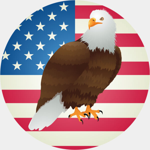 USA America Flag Bald Eagle 5 Thumbnail